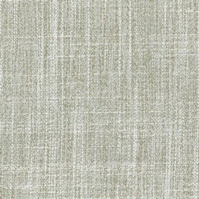 Burma Birch 4 by Norbar Fabric BURMA 100% POLYESTER INDIA 30,000 WUZENBEEK 54 - Fabric Carolina -