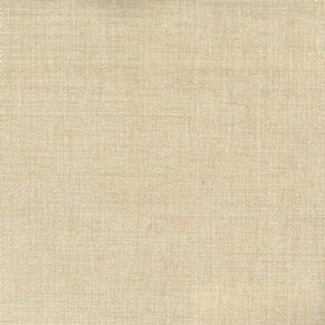 Cadet Wheat by Norbar Fabric 100% POLYESTER INDIA 54" - Fabric Carolina -
