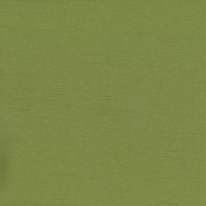 Caprio Parsley by Norbar Fabric 100% POLYESTER INDIA 54 - Fabric Carolina -