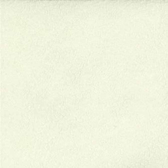 Champ Champagne 2807 by Norbar Fabric ENCINO 82% PVC 18% POLYURETHANE 25,000 MARTINDALE </p><p>Repeat: 55" - Fabric Carolina -