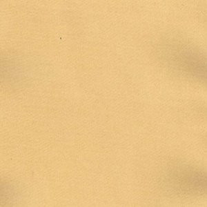 Charm Apricot by Norbar Fabric 100% POLYESTER INDIA 54" - Fabric Carolina -