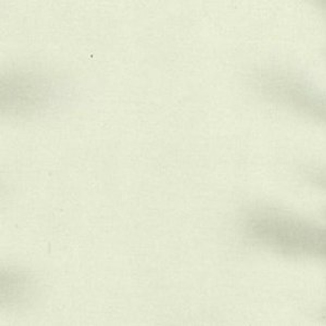 Charm Chablis by Norbar Fabric See Sample 100% POLYESTER INDIA 3,000 WYZENBEEK 54" - Fabric Carolina -