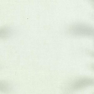 Charm Oyster by Norbar Fabric 100% POLYESTER INDIA 54" - Fabric Carolina -