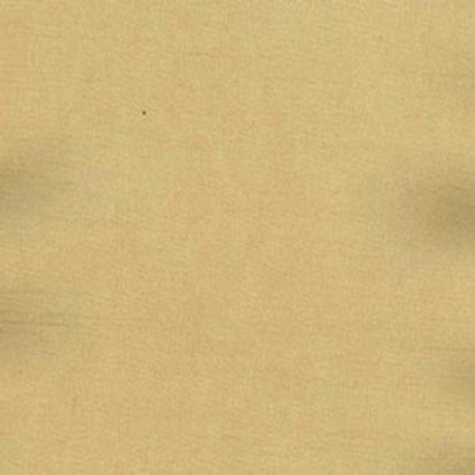 Charm Toast by Norbar Fabric 100% POLYESTER INDIA 54" - Fabric Carolina -