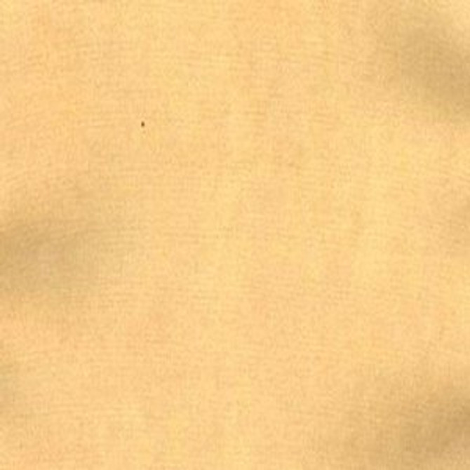 Charm Wheat by Norbar Fabric 100% POLYESTER INDIA 3,000 WYZENBEEK </p><p>Repeat: 54" - Fabric Carolina -
