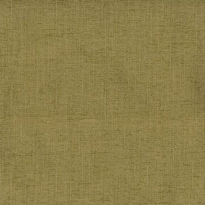 East Fern by Norbar Fabric See Sample 100% POLYESTER CHINA 45,000 WYZENBEEK 57 - Fabric Carolina -