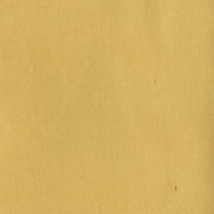 Element Bright Gold 523 by Norbar Fabric 100% POLYURETHANE KOREA 54" - Fabric Carolina -