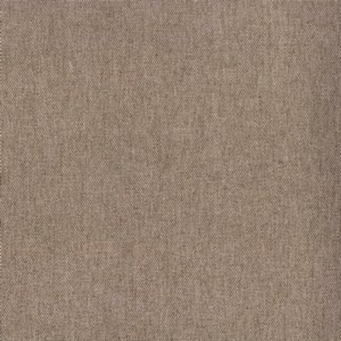 Fiesta Fawn 67 by Norbar Fabric PRISM CLASSICS 100% POLYESTER CHINA 100,000 WYZENBEEK 57 - Fabric Carolina -