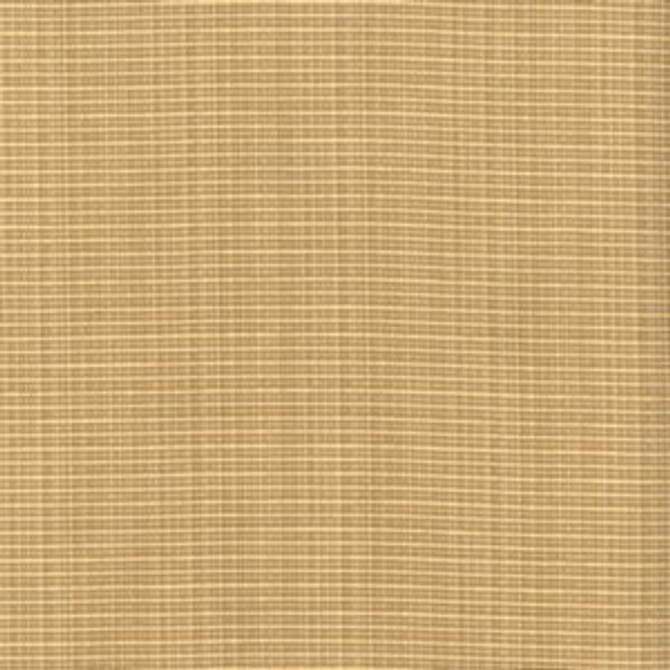 Gallo Wheat 31 by Norbar Fabric RIPPLE 51% POLYESTER 49% COTTON INDIA 50,000 WYZENBEEK 3/8"V 54 - Fabric Carolina -