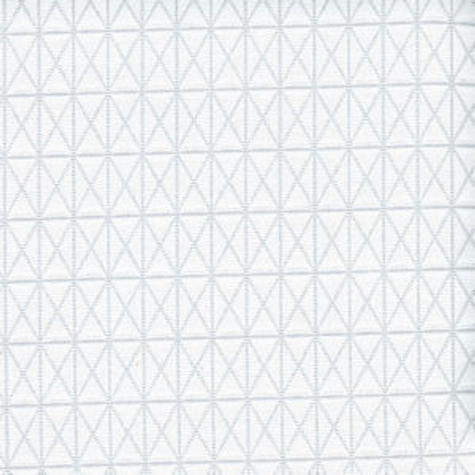Geneva Silver 90 by Norbar Fabric 100% POLYESTER INDIA 50,000 WYZENBEEK </p><p>Repeat: 1"V 1"H 54 - Fabric Carolina -