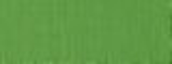 Joplin Leaf 280 by Norbar Fabric LINEN LYNX II 55% LINEN 45% VISC. CHINA 55 - Fabric Carolina -