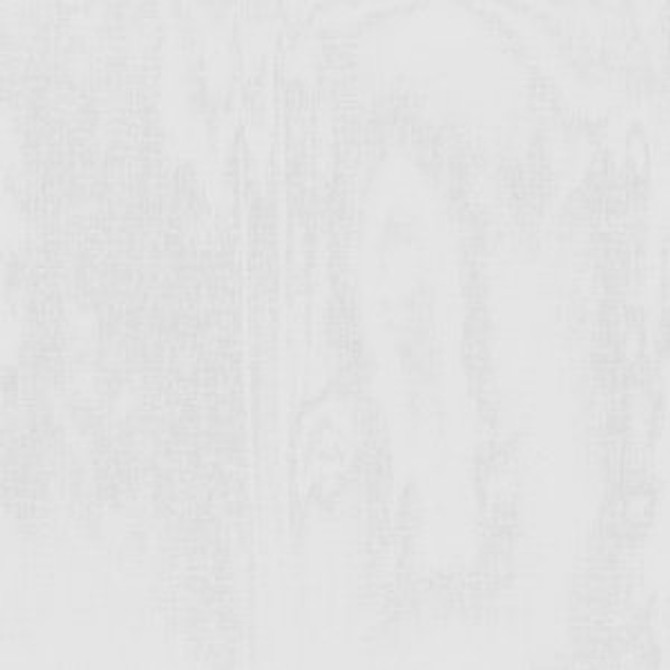 Jupiter Winter White by Norbar Fabric SHEER IMAGE 100% POLYESTER TURKEY 130 - Fabric Carolina -