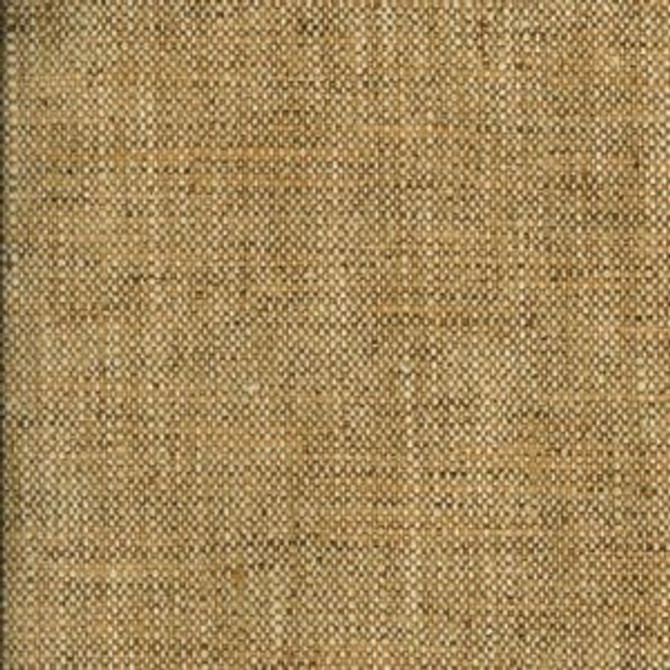 Kenya Amber by Norbar Fabric RIDDLE 100% POLYESTER INDIA 54 - Fabric Carolina -