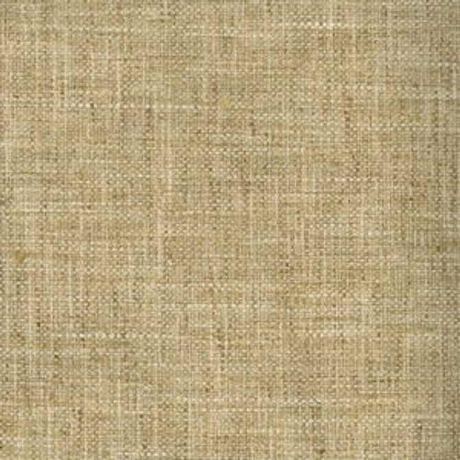 Kenya Foil by Norbar Fabric See Sample 100% POLYESTER INDIA 30,000 WYZENBEEK 54 - Fabric Carolina -