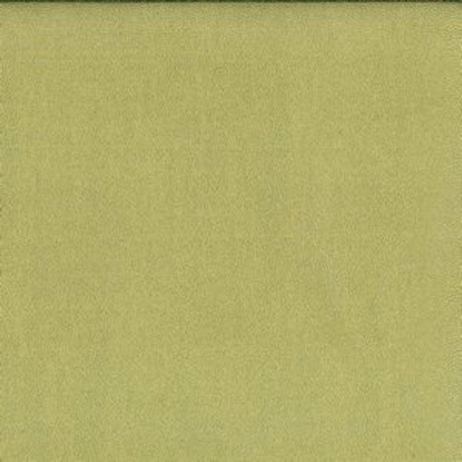 Lavish Spring by Norbar Fabric ENVICTA 100% POLYURETHANE KOREA 54" - Fabric Carolina -