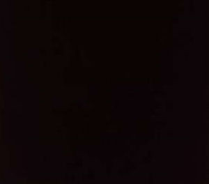 Lenox Black by Norbar Fabric 100% COMBED COTTON INDIA 54 - Fabric Carolina -