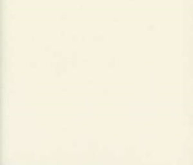 Lenox Cream by Norbar Fabric 100% COMBED COTTON INDIA 54 - Fabric Carolina -