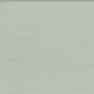 Lenox Mint by Norbar Fabric 100% COMBED COTTON INDIA 54 - Fabric Carolina -