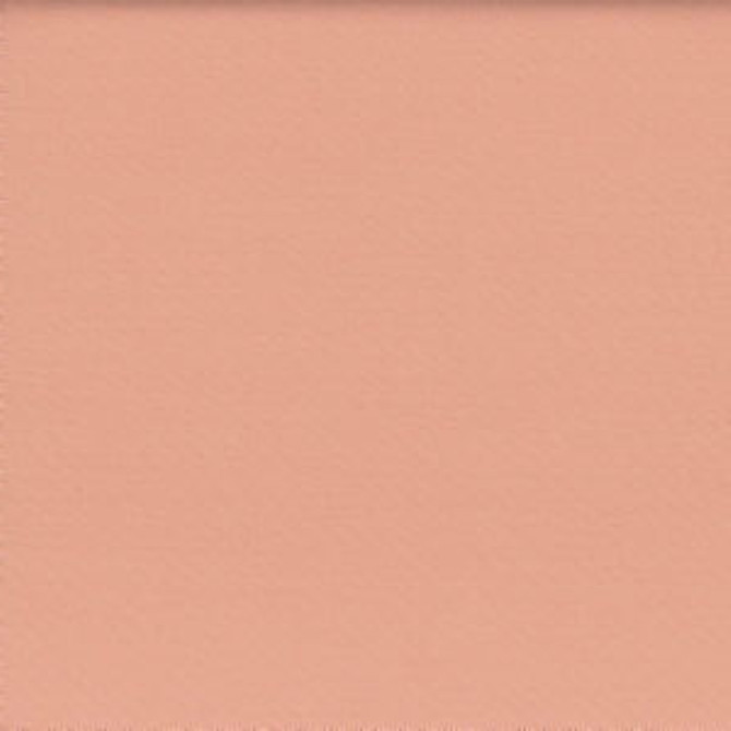 Lenox Shell by Norbar Fabric LENOX 100% COMBED COTTON INDIA 21,000 WYZENBEEK </p><p>Repeat: 54 - Fabric Carolina -