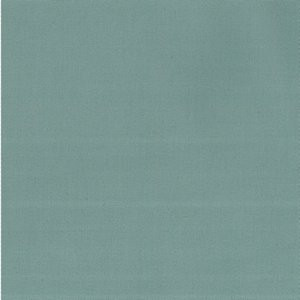 Lima Water by Norbar Fabric See Sample 100% COMBED COTTON TURKEY 10,000 WYZENBEEK 54 - Fabric Carolina -