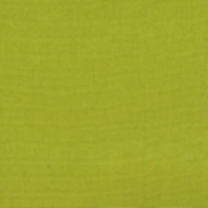 Ninja Green 55 by Norbar Fabric RESORT 100% ACRYLIC POLYESTER SPAIN 55 - Fabric Carolina -