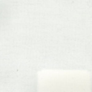 Ninja White Bco by Norbar Fabric RESORT 100% ACRYLIC POLYESTER SPAIN 55 - Fabric Carolina -