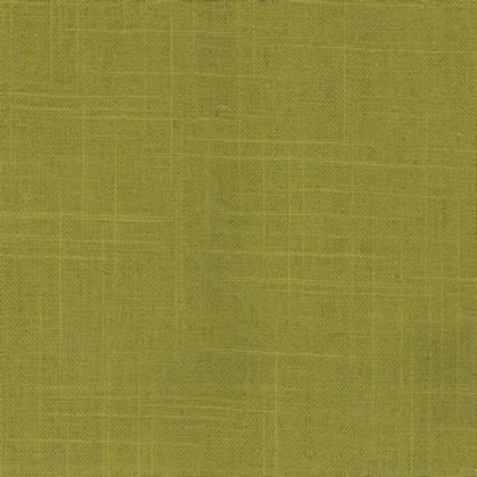 Olympia Kiwi by Norbar Fabric Color/GREEN-CITRUS 55 LINEN 45 RAYON CHINA 12,000 WYZENBEEK 54 - Fabric Carolina -