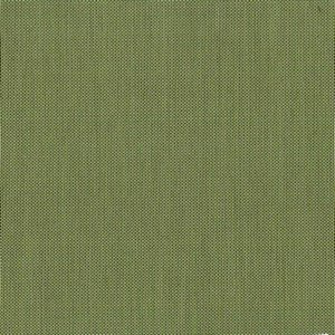 Option Sage Green by Norbar Fabric ATRIUM 100% SOLUTION DYED ACRYLIC YN CHINA 12,000 WYZENBEEK </p><p>Repeat: 55 - Fabric Carolina -