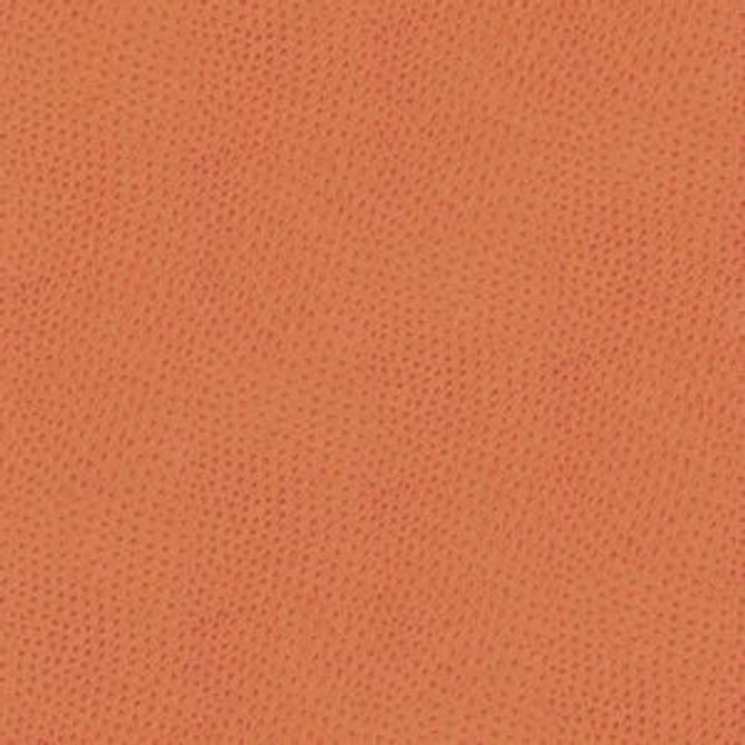 Ostrich Orange So 316 by Norbar Fabric ESCAPE 100% POLYURETHANE 100,000 WYZENBEEK 54 - Fabric Carolina -