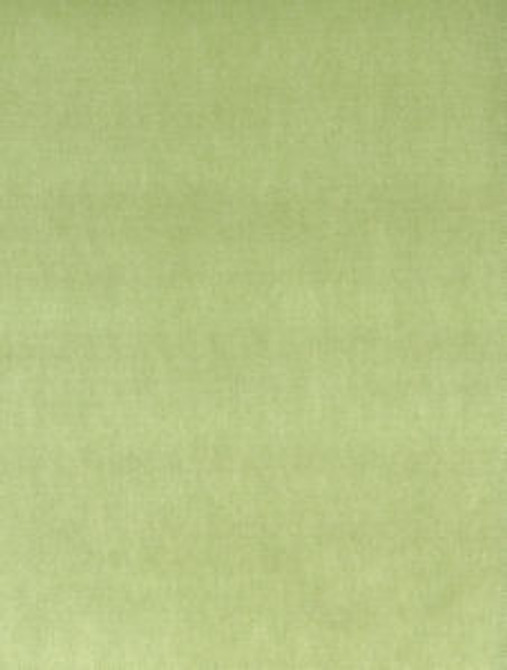 Othello Sprout 312 by Norbar Fabric OTHELLO 75% POLYESTER 25% COTTON CHINA 201,000 WYZENBEEK </p><p>Repeat: 54 - Fabric Carolina -
