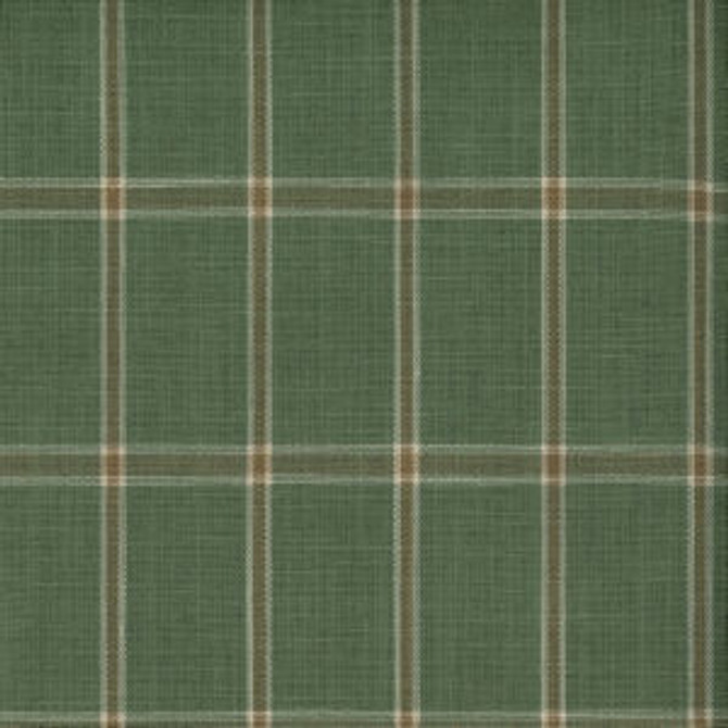 Panther Juniper by Norbar Fabric CHECKER 100% POLYESTER CHINA 60,000 WYZENBEEK 2 3/4"V 2 3/4"H 56 - Fabric Carolina -