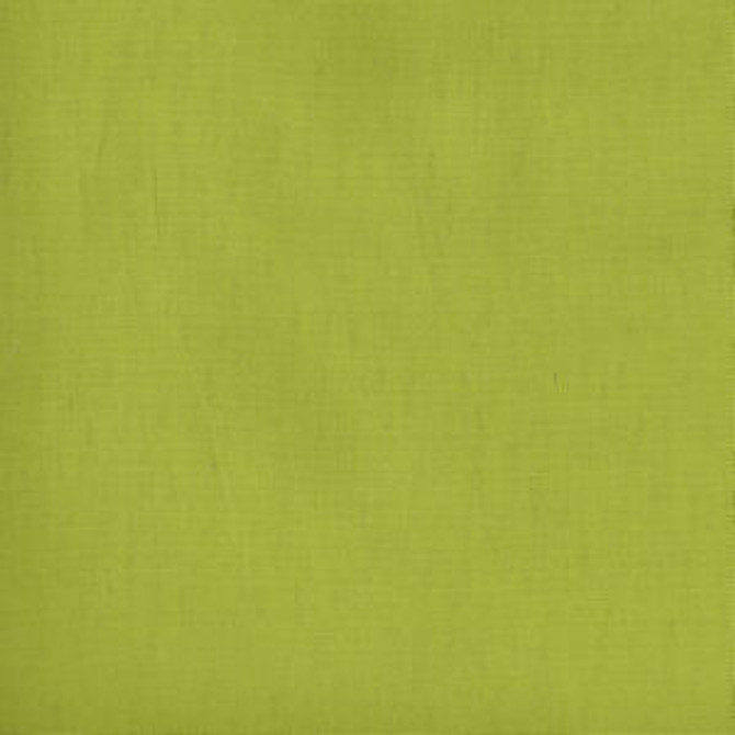 Parma Kiwi 285 by Norbar Fabric PARMA 100% COTTON USA 54 - Fabric Carolina -