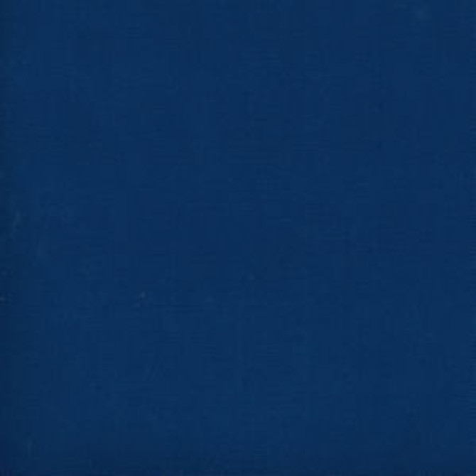 Parma Nautical 598 by Norbar Fabric PARMA 100% COTTON USA 54 - Fabric Carolina -