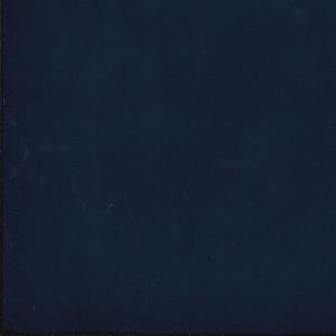 Parma Navy 55 by Norbar Fabric PARMA 100% COTTON USA 30,000 WYZENBEEK 54 - Fabric Carolina -