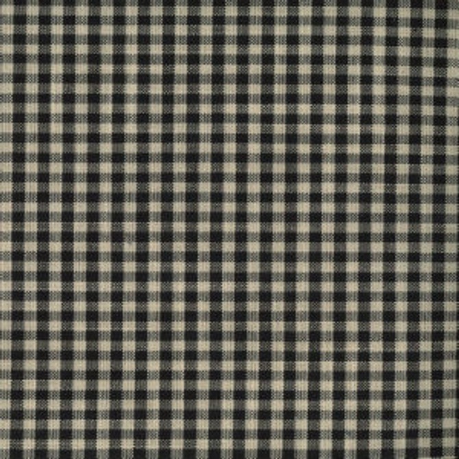 Pilar Black by Norbar Fabric CHECKER 100% POLYESTER CHINA 1/2"V 1/2"H 56 - Fabric Carolina -