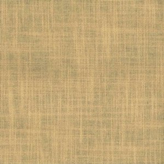 Planet Barley by Norbar Fabric PLANET 79% COTTON 21% POLYESTER INDIA 55 - Fabric Carolina -
