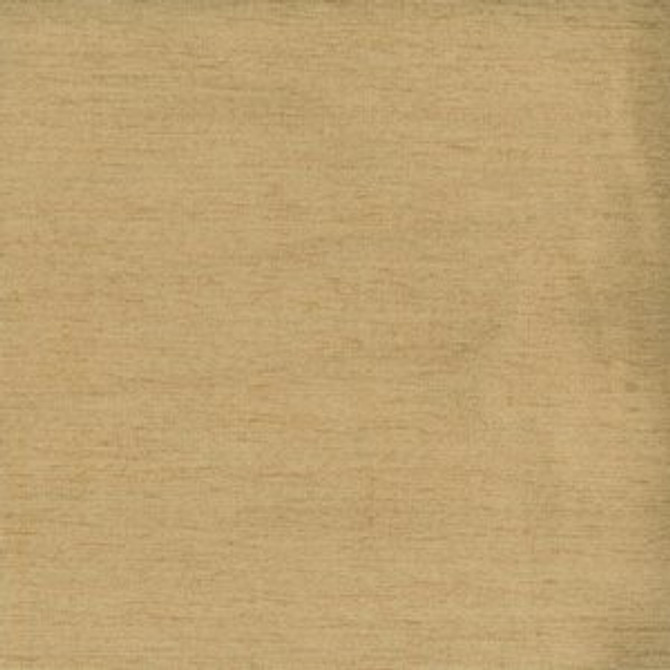 Pompeii Ginger 20 by Norbar Fabric POMPEII 100% POLYESTER INDIA 30,000 WYZENBEEK 54 - Fabric Carolina -