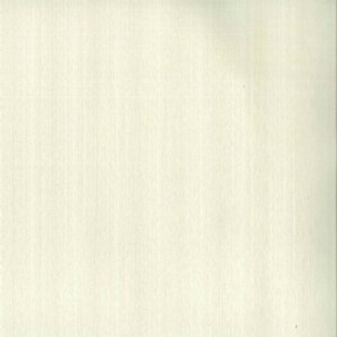 Prevue Chalk by Norbar Fabric ENVICTA 100% POLYURETHANE KOREA 54 - Fabric Carolina -