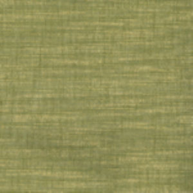 Punjab Lima 5 by Norbar Fabric PUNJAB 100% POLYESTER INDIA 20,000 WYZENBEEK 54 - Fabric Carolina -