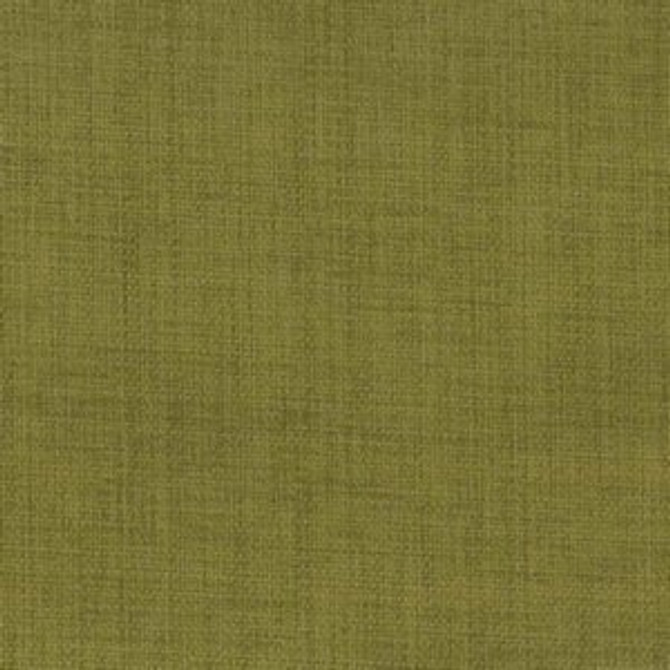 Rally Kiwi by Norbar Fabric ATRIUM 100% POLYESTER WITH ACRYLIC S. KOREA 55 - Fabric Carolina -