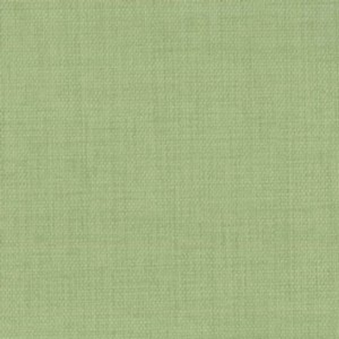 Rally Lawn by Norbar Fabric ATRIUM 100% POLYESTER WITH ACRYLIC S. KOREA 55 - Fabric Carolina -
