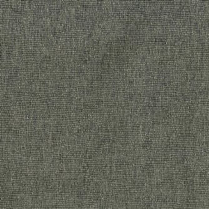 Rambo Graphite by Norbar Fabric 51% COTTON 49% POLYESTER TAIWAN 54 - Fabric Carolina -