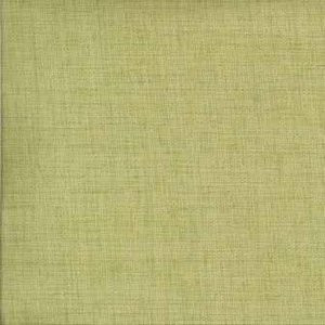 Random Celery by Norbar Fabric 100% POLYESTER W ACRYLIC BACK S. KOREA 55" - Fabric Carolina -