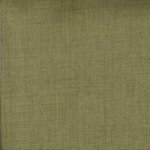 Random Sage by Norbar Fabric 100% POLYESTER W ACRYLIC BACK S. KOREA 55" - Fabric Carolina -