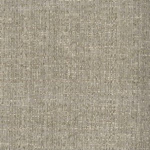 Riddle Coin by Norbar Fabric RIDDLE 66% COTTON 34% POLYESTER 54 - Fabric Carolina -