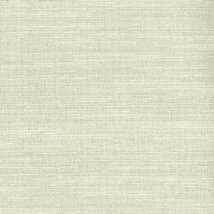 Riddle Marble by Norbar Fabric RIDDLE 66% COTTON 34% POLYESTER 54 - Fabric Carolina -