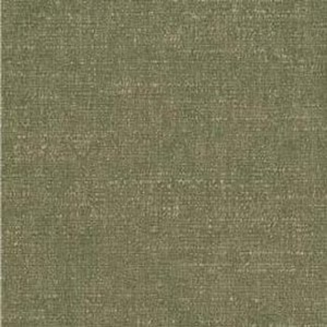 Rollins Endive by Norbar Fabric 66% COTTON 34% POLYESTER 54" - Fabric Carolina -