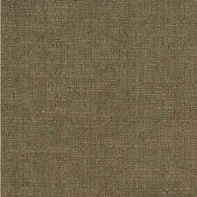 Rollins Loden by Norbar Fabric See Sample 66% COTTON 34% POLYESTER 25,000 WYZENBEEK 54" - Fabric Carolina -