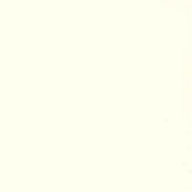 Saigon Ecru by Norbar Fabric SAIGON 60% COTTON 40% POLYESTER TAIWAN 9,000 WYZENBEEK </p><p>Repeat: 54" - Fabric Carolina -
