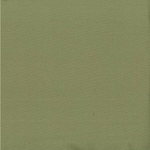 Saigon Mint by Norbar Fabric 60% COTTON 40% POLYESTER TAIWAN 54" - Fabric Carolina -